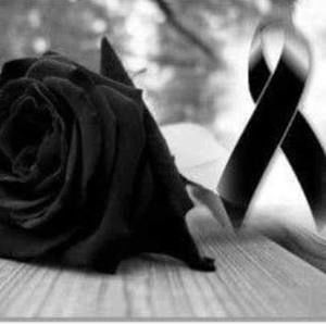 Meet your Posher, Gustavo